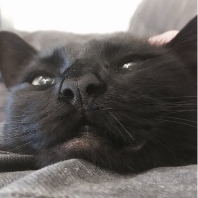 186FleetStreet's profile picture. Turning beauty into filth