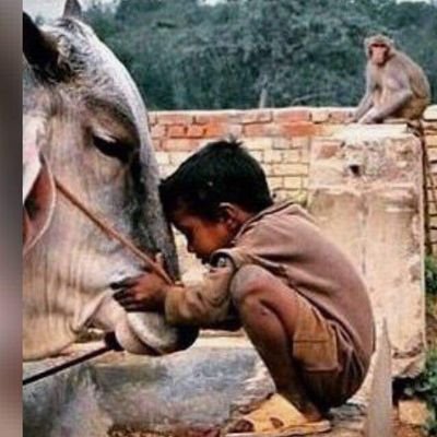 gowri777shankar's profile picture. Sports minded..