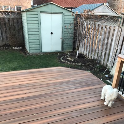 adgupt's profile picture. 