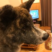 タカシくん (@g78r2) Twitter profile photo