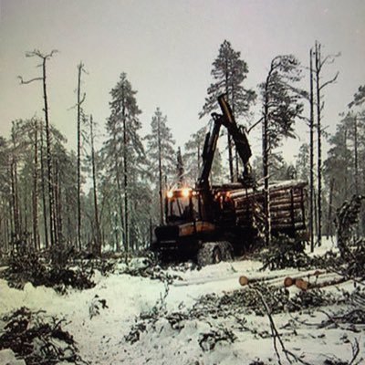 Jokaisessa työssä on vastoinkäymisiä. Harmistuminen on kohtalaisen yleistä metsäkoneenkuljettajien keskuudessa. Metsässä saa onneksi purkautua rauhassa.