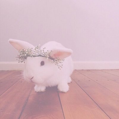 いえーい