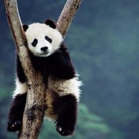Our Planet Earth 🌍 (@wxwows) 's Twitter Profile Photo Our Planet Earth 🌍 (@wxwows) 's Twitter Profile Photo