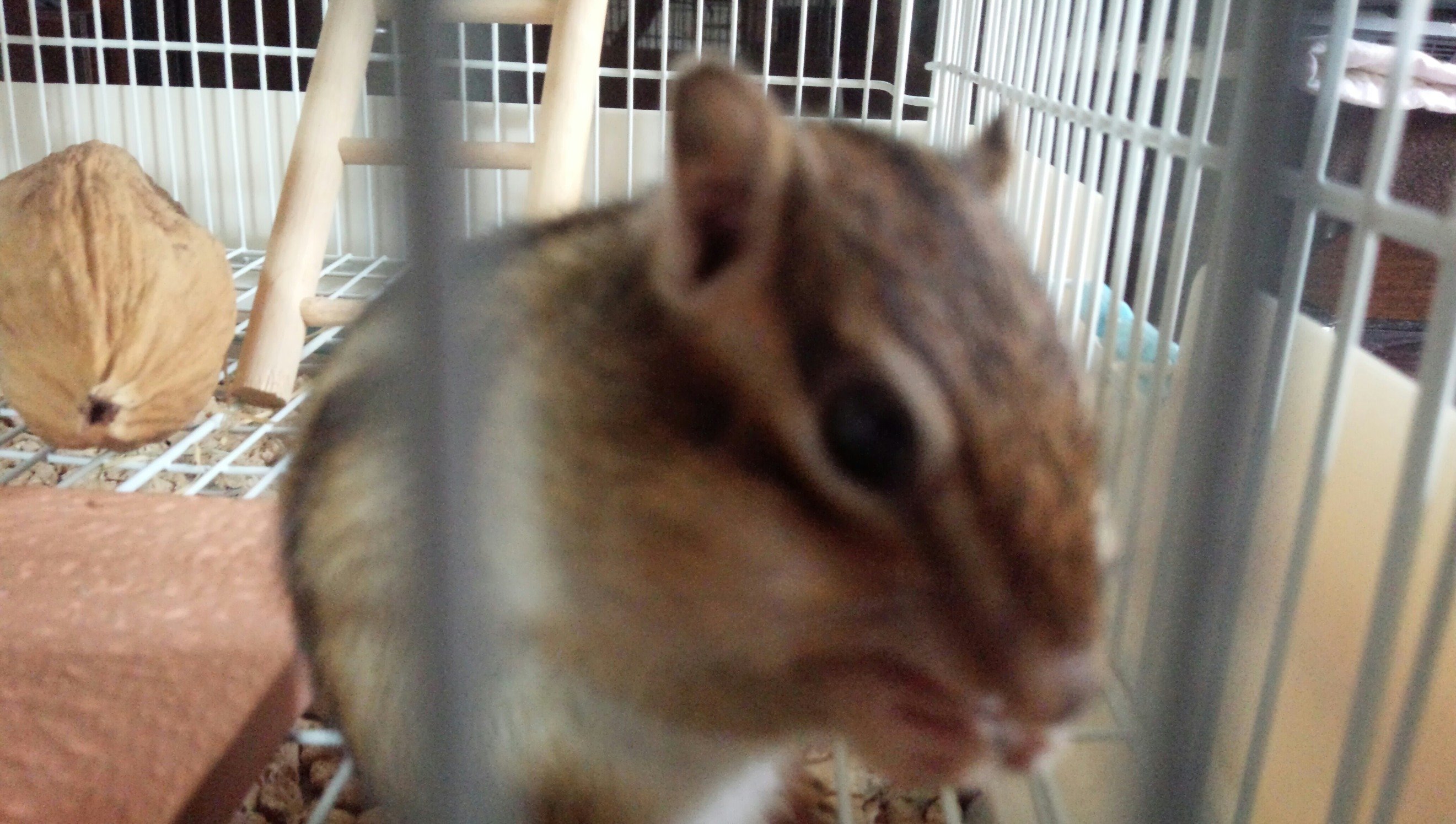 sima_san_B's profile picture. 