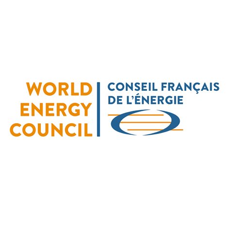 Conseil Français de l'Énergie Profile