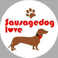 Sausagedoglove(@Sausagedoglovee) 's Twitter Profile Photo