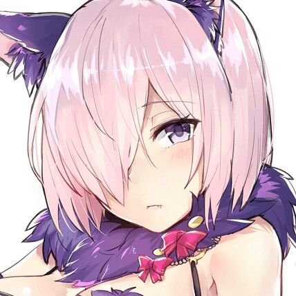 盾    娘さんのプロフィール画像