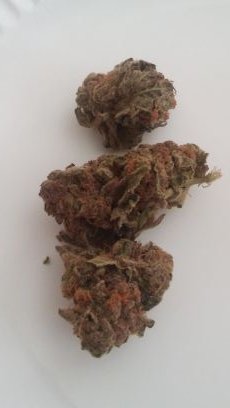 ImMWentzel's profile picture. NFL Hip-Hop/Rap Racing Music Sports NFL NASCAR Humor Gaming