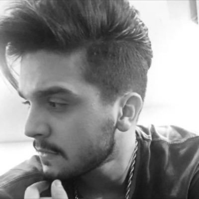 luanete (s.f): a person who loves and supports luan santana no matter what