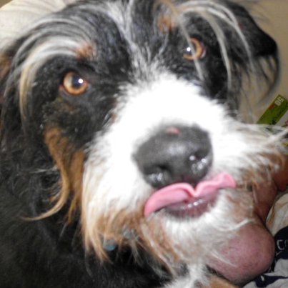 ordinaryjustme's profile picture. OrdinarilyJustMe at your service in a never ending quest to meet new people, see new things and ever learning. I blog, I Vlog, and now I tweet too! GreetingsAll