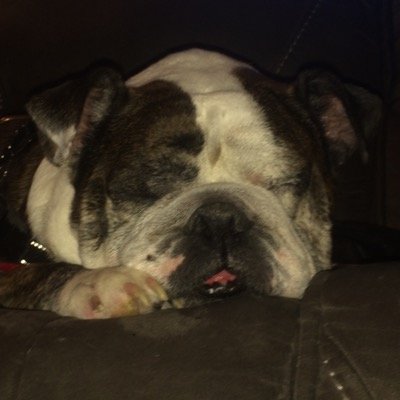 FaZeStorm36's profile picture. Hi my name is Ethan! I live in PA and also I'm a big trickshoter.