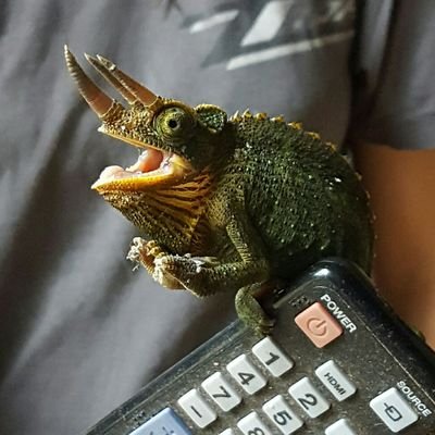 kitsy_smith's profile picture. 
