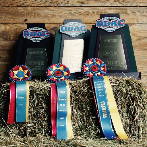 Division III NCEA & IHSA Riding Program
IHSA Z4 R2 Champs: 2018, 2019, 2020
ODAC Champs: 2012, 2015, 2016, 2019, 2021
NCEA Single Discipline Champs: 2021