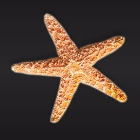dstarrbme's profile picture. 