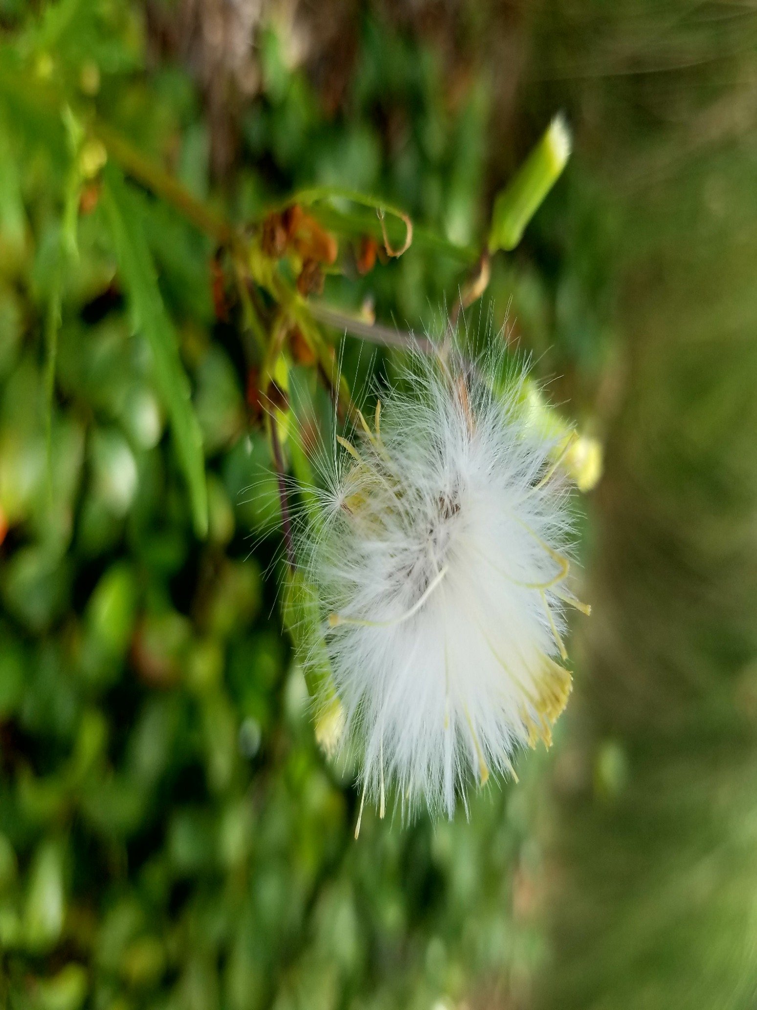 hifill3's profile picture. 