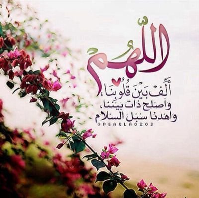 g1f8fwgxcnk6740's profile picture. ‏‏‏استغفر الله واتوب اليه