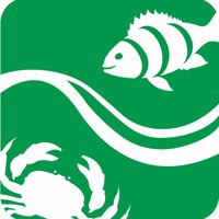 FishWise(@FishWiseOrg) 's Twitter Profileg