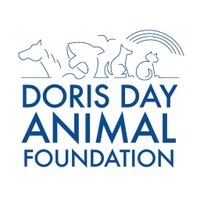 DDAF(@DDAF_org) 's Twitter Profileg