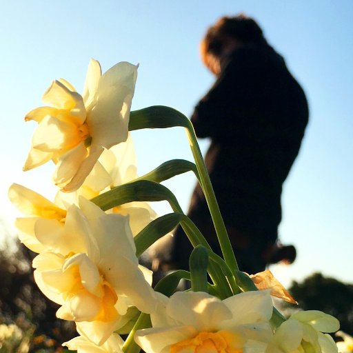 ポストはブログ『偲フ花』から流しています。日本の美しい風景、神社、パワスポを紹介してます。古代出雲王家『富家』の伝承を辿る「八雲ニ散ル花」シリーズは、日本神話の深淵を知りたい人に。