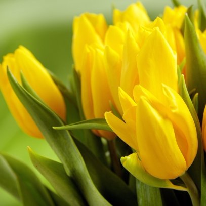 lauraprisby's profile picture. 