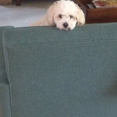 Jscully31Julie's profile picture. 