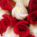 anamika singh (@001anamika) Twitter