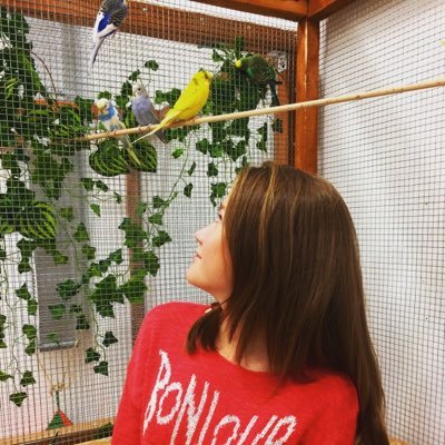 #FollowBack