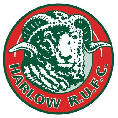all the news and info from the youth section at Harlow Rugby Club . youth@harlow-rugby.co.uk