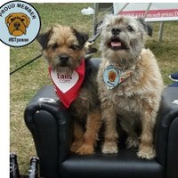 🌈 Molly & Lord George (GMan) (@emmameaden1) 's Twitter Profile Photo 🌈 Molly & Lord George (GMan) (@emmameaden1) 's Twitter Profile Photo