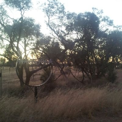 Passionate farming enthusiast, located gunyidi midwest WA.
