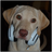 PressselectFR's profile image
