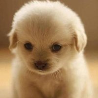Earth pics2 (@fuck_in_emotion) Twitter profile photo