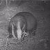 Cannock Chase Wildlife Project (@cannockwildlife) Twitter profile photo Cannock Chase Wildlife Project (@cannockwildlife) Twitter profile photo