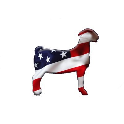 The official Home of Goat American Flag Vlogs. Send us fan mail to be featured in the vlog. Business inquires: goatamericanflag@gmail.com