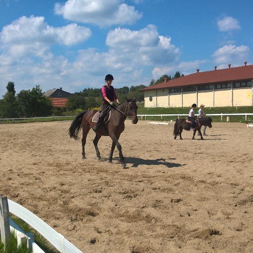 izabelachochol's profile picture. 💜 #hooligans Love Bruno Mars  💜