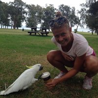 Frederikke H Hastrup (@frederikkehh) 's Twitter Profile