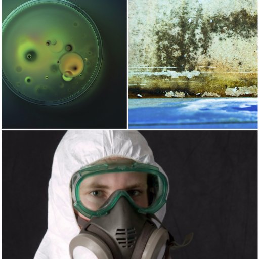 TrinityService7's profile picture. Trinity Environmental Service Corp is lead company in asbestos removal service