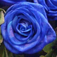 junjun (@junjun_777) Twitter profile photo