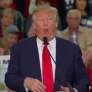 NotTrump2024 (@nottrump2020) 's Twitter Profile