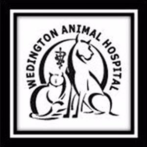 Wedington Animal Hospital (@WedingtonAnimal) / Twitter Wedington Animal Hospital (@WedingtonAnimal) / Twitter