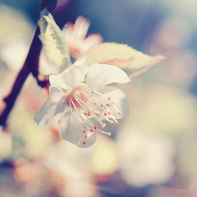 jtsai972's profile picture. 