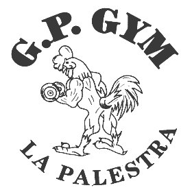 Pagina Ufficiale della GP GYM, la Palestra di Mesero.