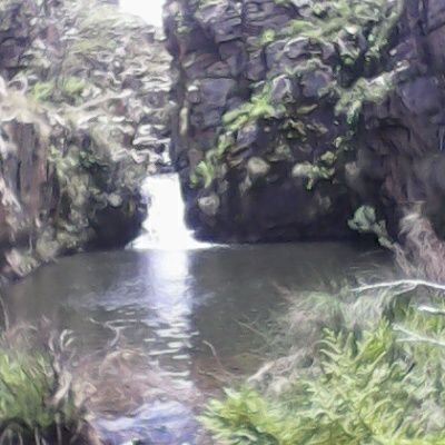 duck_political's profile picture. 101101001