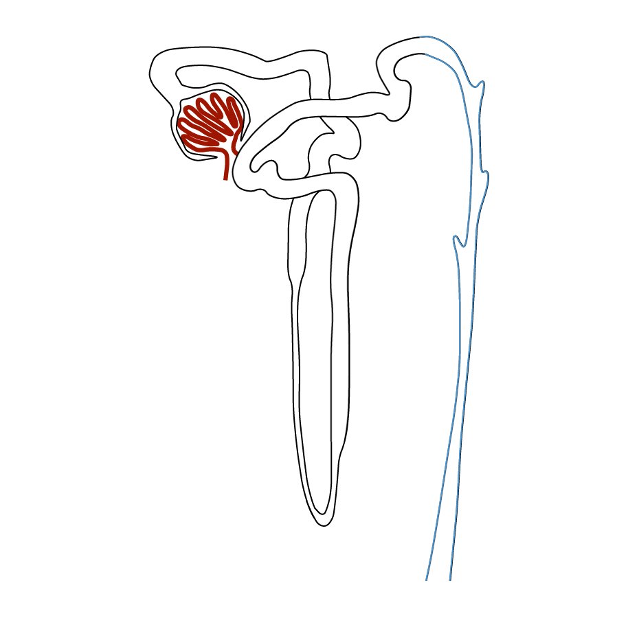 oxburghlab's profile picture. 
