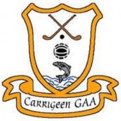 The Carrigeen GAA club was formed in 1954. Homeground Asper Park. Club Colours Black & Amber Stripes