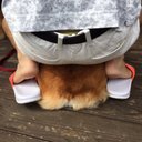 おおぞの ゆーし (@0623Football) Twitter