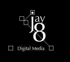 Flex/Flash developer of digital media