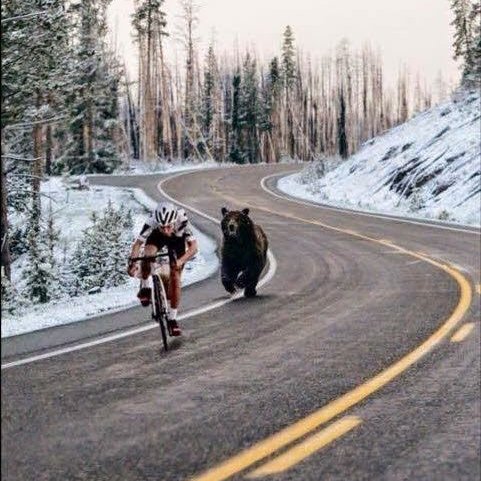 DanielDowjones's profile picture. 