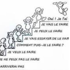 stephane_schott's profile picture. 