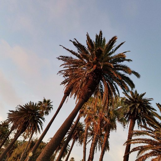 journeyoflife00's profile picture. Working everyday to be as perfect as I can be in an Imperfect World.       #fitness  #health #21daytransformation #weightloss #fun #goals